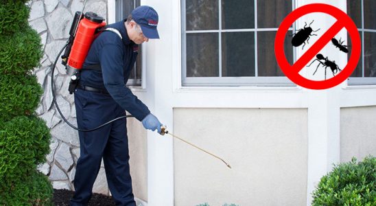 Çüngüş Kene İlaçlama böcek ilaçlama ve haşere kontrolü — ilaclama-tr.com